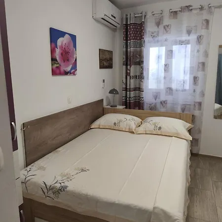 & No1 * זאדאר