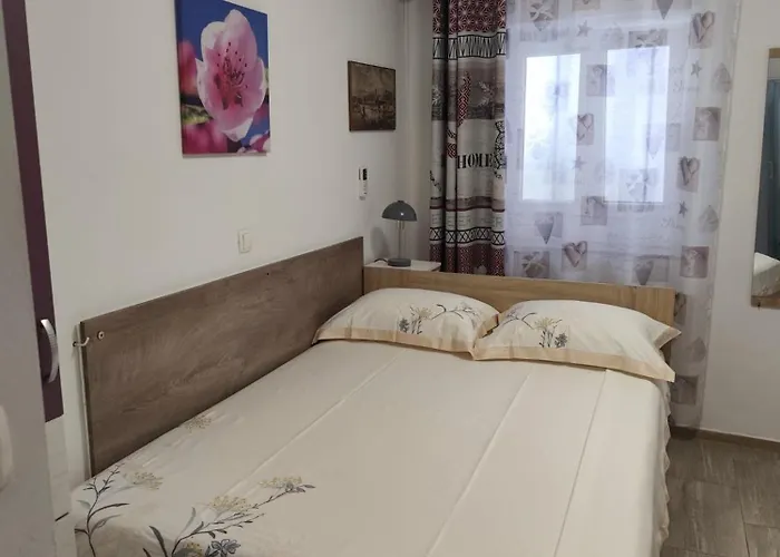 & No1 * Zadar